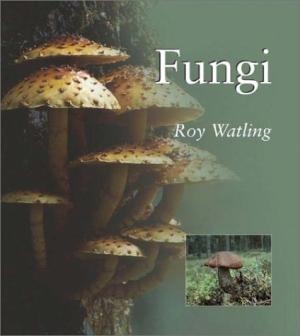 Fungi from Summerfield Books
