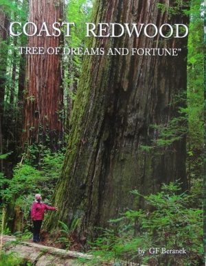 Coast Redwood: Tree of Dreams and Fortune