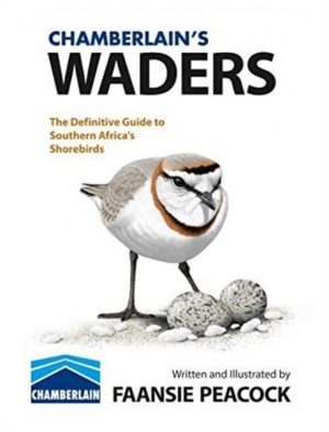 Chamberlain's Waders: The Definitive Guide to Southern Africa's Shorebirds