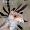 Birds of the Serengeti and Ngorongoro Conservation Area