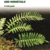 Britain's Ferns, Clubmosses, Quillworts, and Horsetails: A Field Guide