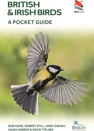 British Birds: A Pocket Guide