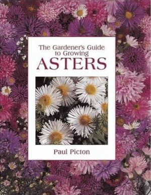 Gardener's guide to growing Asters