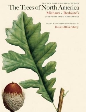 The Trees of North America : Michaux and Redoute's American Masterpiece