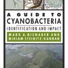 A Guide to Cyanobacteria: Identification and Impact