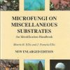 Microfungi on Miscellaneous Substrates