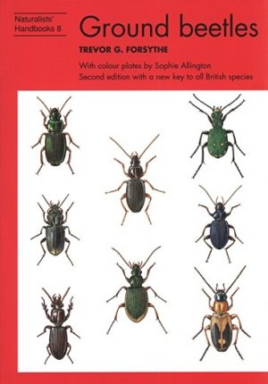 Ground beetles (Naturalists' Handbooks 8)
