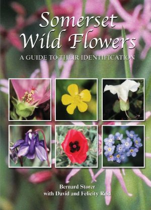 Somerset Wild Flowers: A guide to their identification