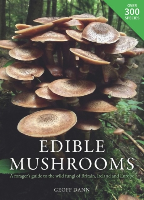research paper on edible mushroom