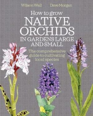 How to Grow Native Orchids in Gardens Large and Small A Comprehensive Guide to Cultivating Local Species