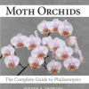 Moth Orchids: The Complete Guide to Phalaenopsis