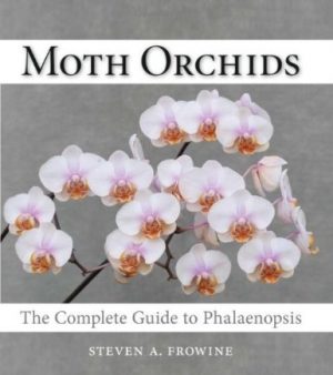 Moth Orchids: The Complete Guide to Phalaenopsis