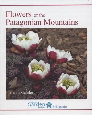 Flowers of the Patagonian Mountains