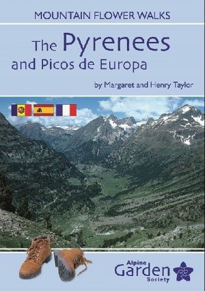 The Pyrenees and Picos de Europa