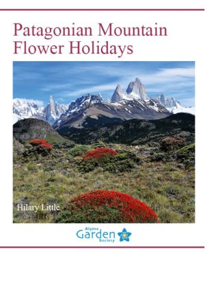 Patagonian Mountain Flowers Holidays