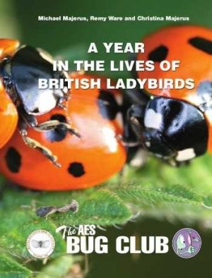 A Year in the Lives of British Ladybirds