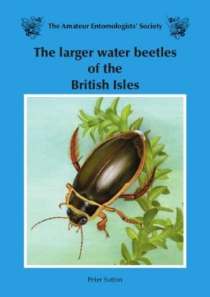 The Larger Water Beetles of the British Isles