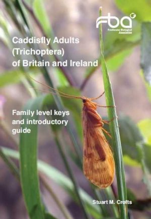 Caddisfly Adults (Trichoptera) of Britain and Ireland - Family Level Keys and Introductory Guide
