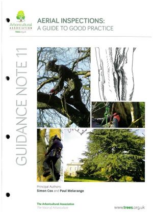 Guidance Note 11 Aerial Inspections A Guide to Good practice