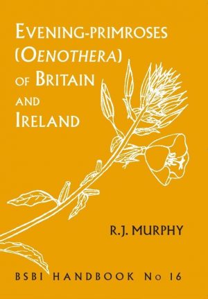Evening-primroses (Oenothera) of Britain and Ireland book cover