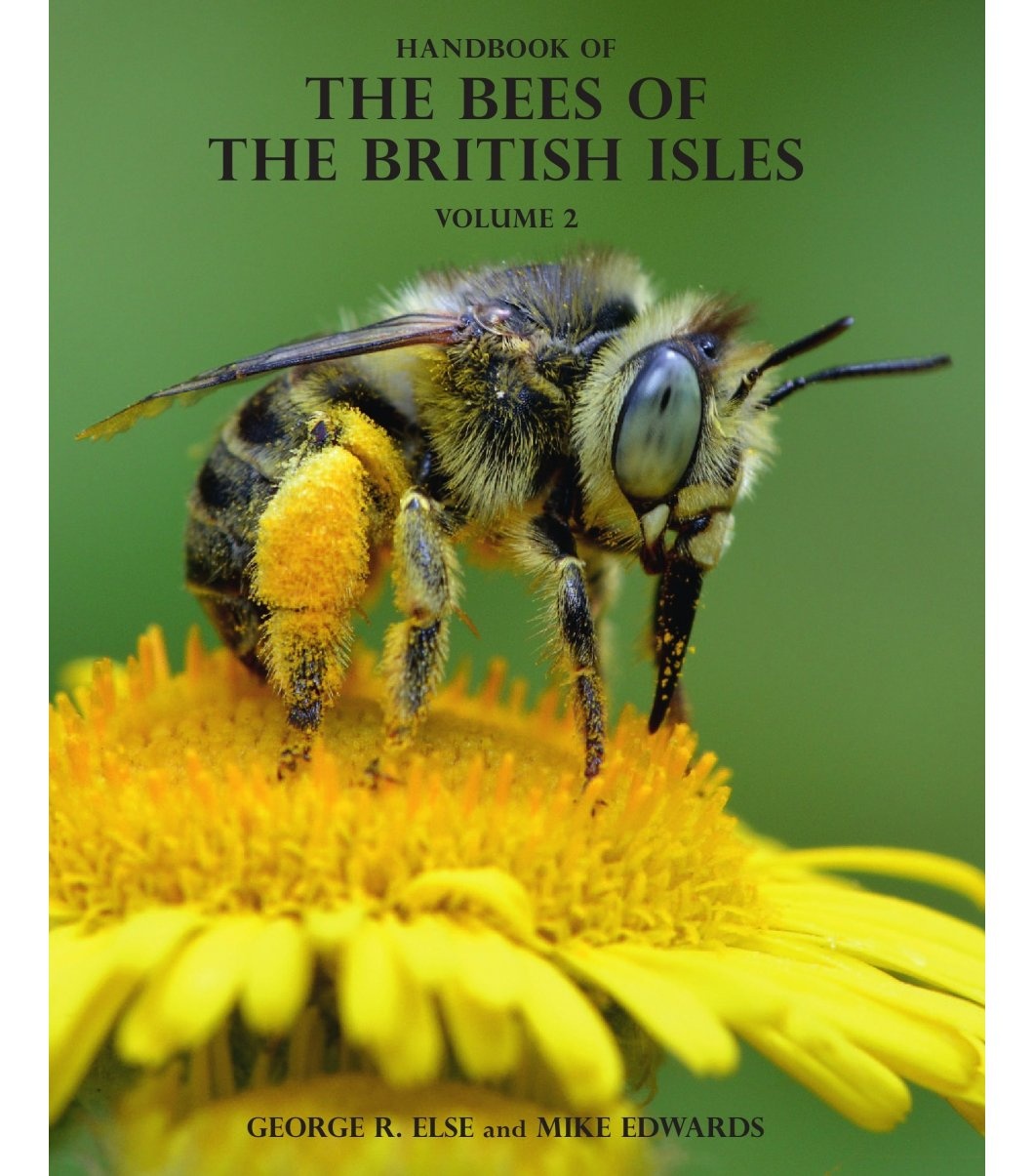 Field Guide To The Bees Of Great Britain And Ireland From Summerfield Books