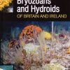Seasearch Guide to Bryozoans and Hydroids of Britain and Ireland