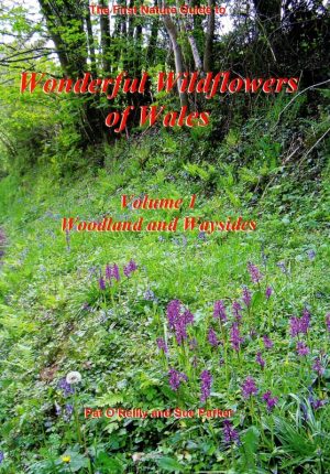 The First Nature Guide to Wonderful Wildflowers of Wales - Volume 1: Woodland and Waysides