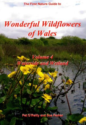 The First Nature Guide to Wonderful Wildflowers of Wales - Volume 4: Waterside and Wetland