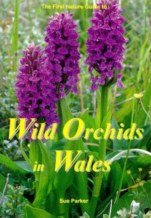 Wild Orchids in Wales