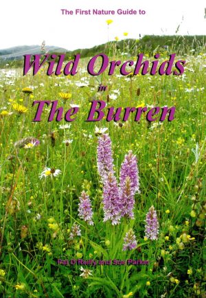 The First Nature Guide to Wild Orchids in The Burren