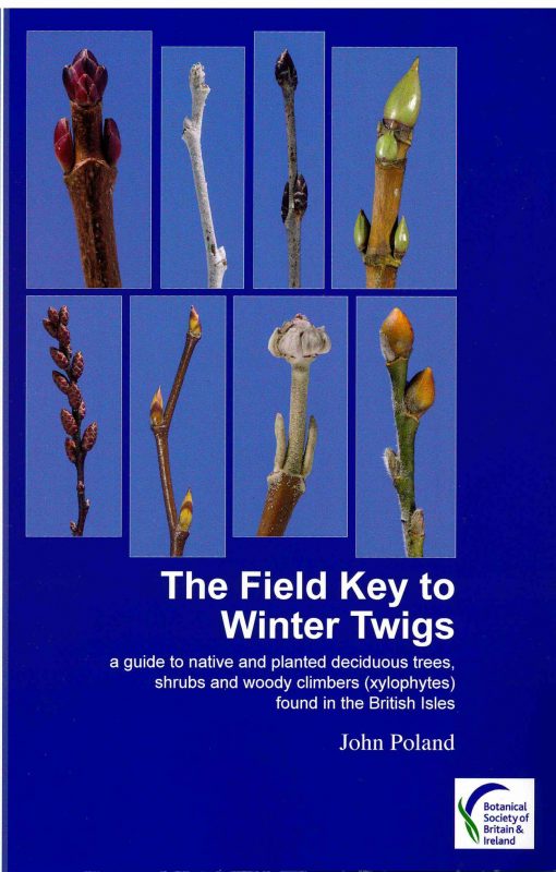 The Field Key to Winter Twigs