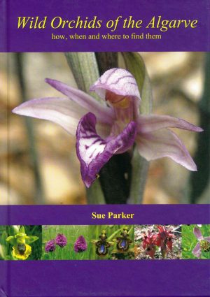 Wild Orchids of the Algarve; how, when and where to find them