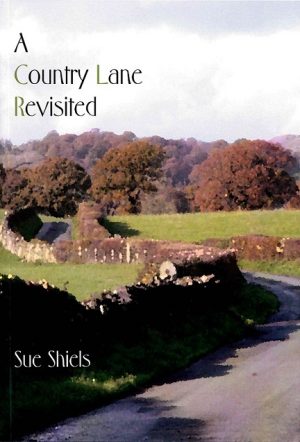 A Country Lane Revisited