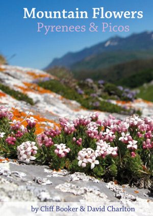 Mountain Flowers - Pyrenees and Picos