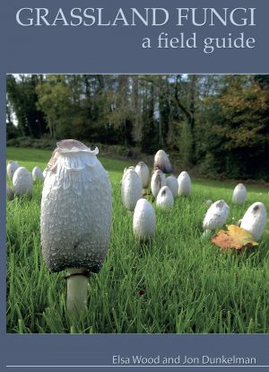 Grassland Fungi: A Field Guide