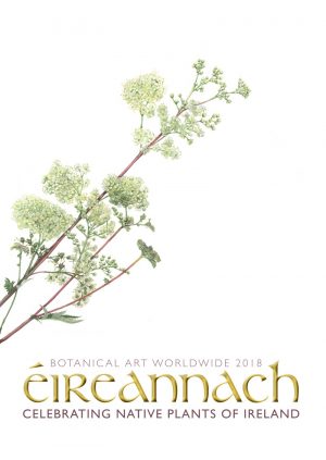 ÉIREANNACH – CELEBRATING NATIVE PLANTS OF IRELAND