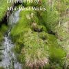 The Mosses and Liverworts of Mid-West Wales