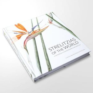 Strelitzias of the world: A historical & contemporary exploration