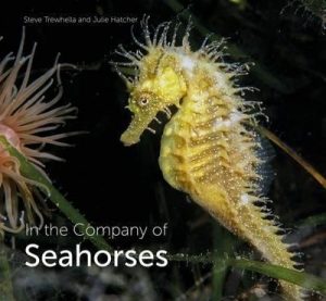 In the Company of Seahorses