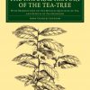 The Natural History of the Tea-Tree book cover