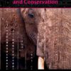 Artificial Intelligence and Conservation