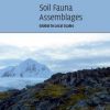 Soil Fauna Assemblages Global to Local Scales