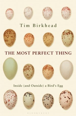 The Most Perfect Thing. Inside (and Outside) a Bird’s Egg