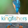 RSPB Spotlight: Kingfishers