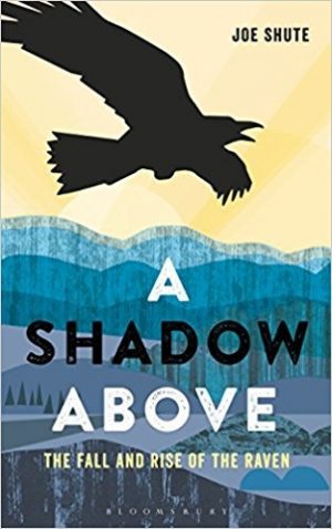 A Shadow Above: The Fall and Rise of the Raven