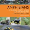 Amphibians of Europe, North Africa & the Middle EastA Photographic Guide