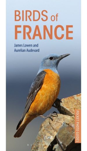 Birds of France