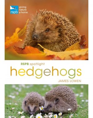 RSPB Spotlight: Hedgehogs