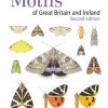 Cover of Concise Guide to the Moths of Great Britain and Ireland, second edition