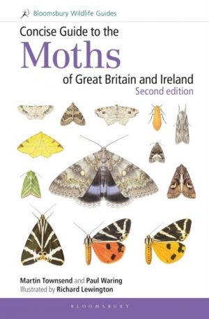 Cover of Concise Guide to the Moths of Great Britain and Ireland, second edition